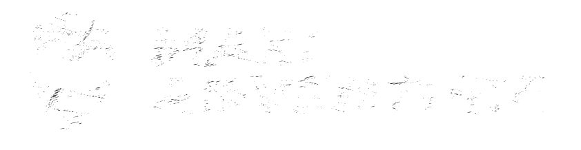 Maxi Adventure